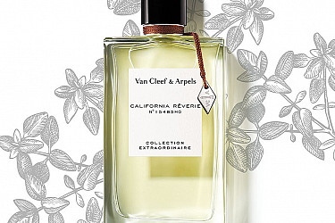 california-reverie-fragrance-tab
