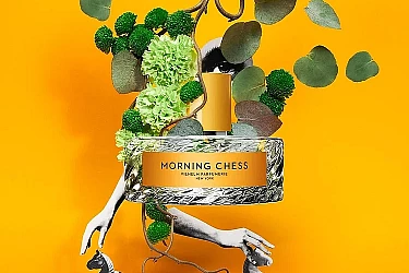 MORNING-CHESS-VUE-03