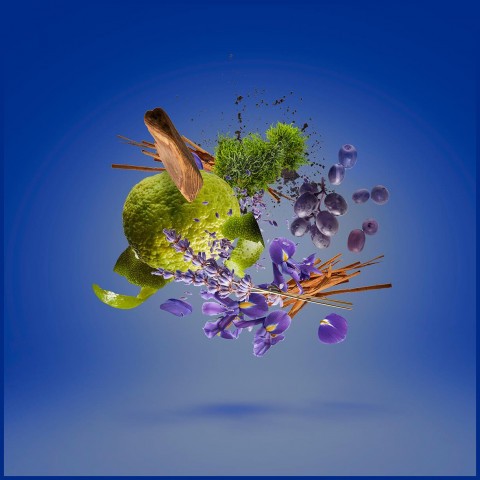 Парфюм Парфюм Xerjoff Casamorati 1888 Mefisto