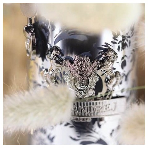 Парфюм Парфюм Alexandre J Silver Ombre - 100 мл.