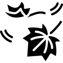 Ароматы на осень